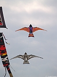Cervia 2011-175